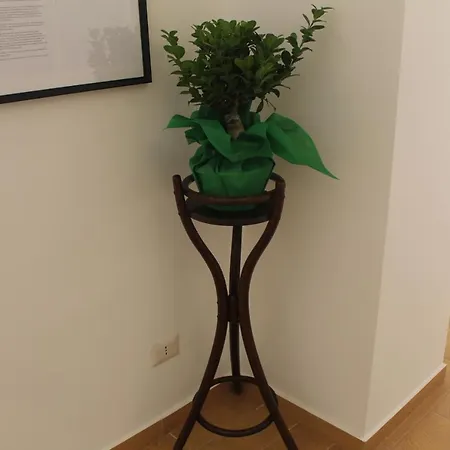 Casa Laura Oliva Mancini