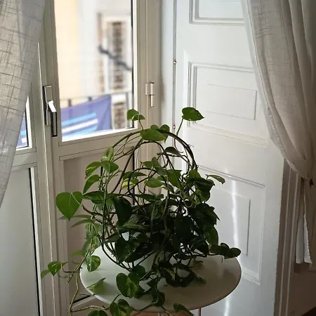 Casa Laura Oliva Mancini Oda ve Kahvaltı 3*